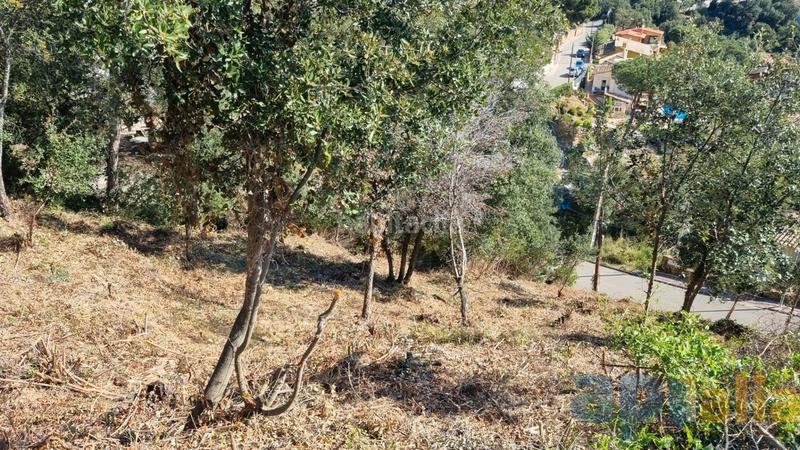 Foto 672e6434-ac00-4c0f-810d-9e90c64ee2d8. Wohngrundstück in Mas Pere-Río de Oro Calonge