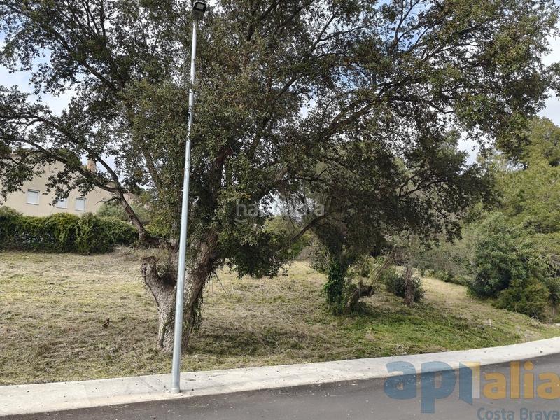 Foto 5ace6e20-5c43-4471-93aa-37b3d9097bbd. Terreny residencial a avinguda la manxa 4 a Mas Pere-Río de Oro Calonge