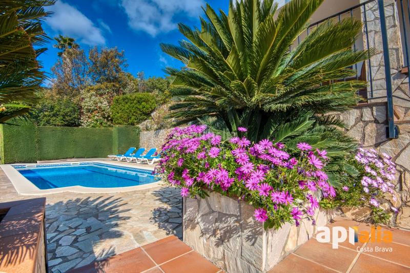 Foto 48454ae8-7dfc-4db2-a9a9-dd538c356045. Chalet casa con licencia turistica en Cabanyes-Mas Ambrós-Mas Pallí Calonge