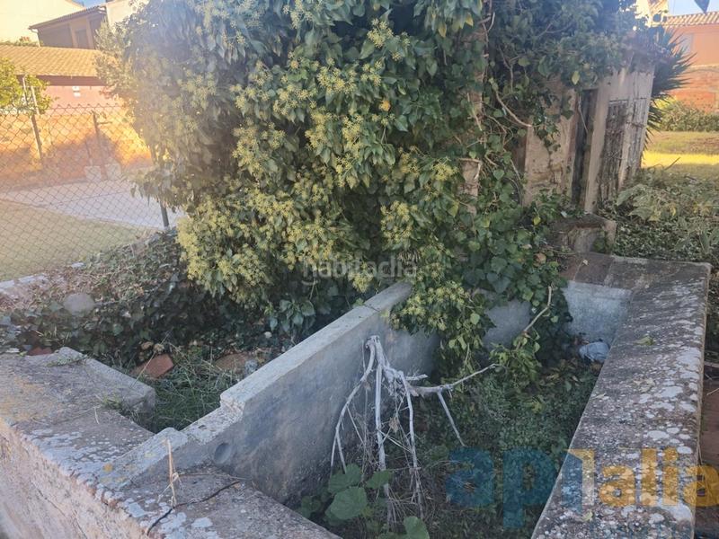 Foto 97864065-9d98-43c2-b78f-3ac67a812a54. Residential plot in carrer d'enric lluís roura 7 in Calonge