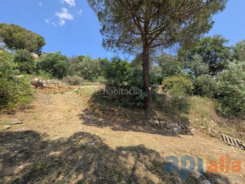 Foto 72e921f4-b0f1-4025-bb4a-208175a2d186. Terreny residencial a Cabanyes-Mas Ambrós-Mas Pallí Calonge