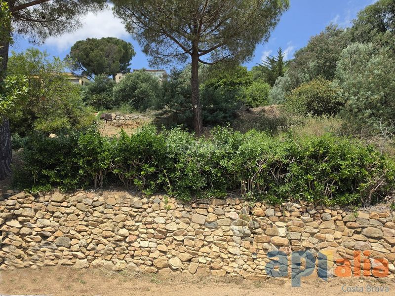 Foto 76c3be28-14ab-448b-b5b3-fd366a07392a. Terreny residencial a Cabanyes-Mas Ambrós-Mas Pallí Calonge