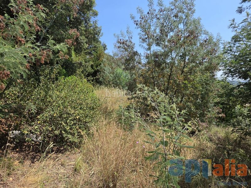 Foto 9bd5344d-f580-4a8f-bb5e-95cb61fcd584. Terreny residencial a Cabanyes-Mas Ambrós-Mas Pallí Calonge