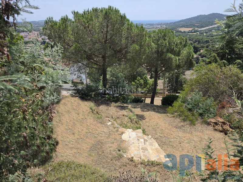 Foto 9dcf3eb5-bc78-4a11-9ff9-ab1ee53f6da3. Terreny residencial a Cabanyes-Mas Ambrós-Mas Pallí Calonge