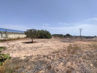 Terreny residencial a Albalat dels Sorells. Si estás buscando una parcela rustica