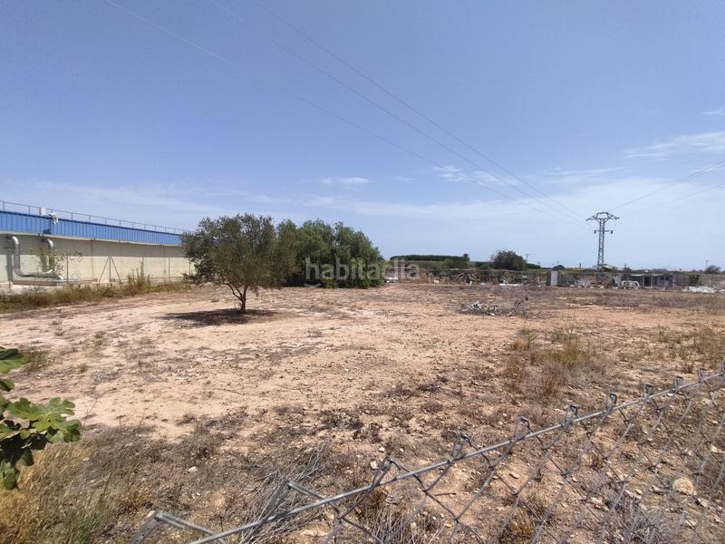 Foto 346ab518-6f3b-481f-abcb-de9c65ac2fac. Residential plot in Albalat dels Sorells