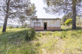 Casa in Viver. Terreno rústico con casita para reformar en viver