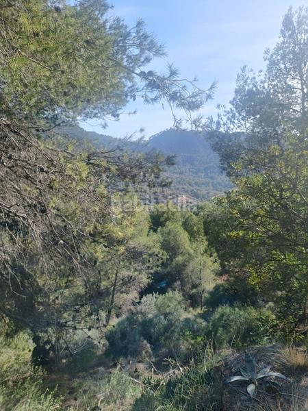 Foto 0bd96aef-d9c2-482d-96d4-f4479a805c1f. Residential plot in Serra