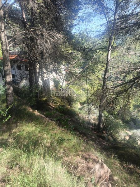 Foto 0f9597ee-af9c-42b8-aa73-a0e4975747c3. Residential plot in Serra