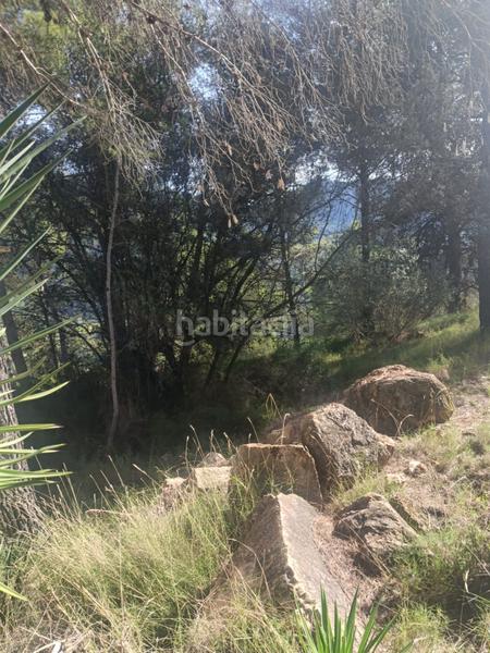 Foto 2a82ccb8-7870-41ab-b6ab-94a489b0969e. Residential plot in Serra