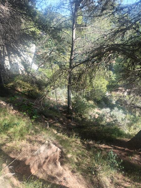 Foto 3197941a-7ff2-49dc-b104-5aeca0a35016. Residential plot in Serra