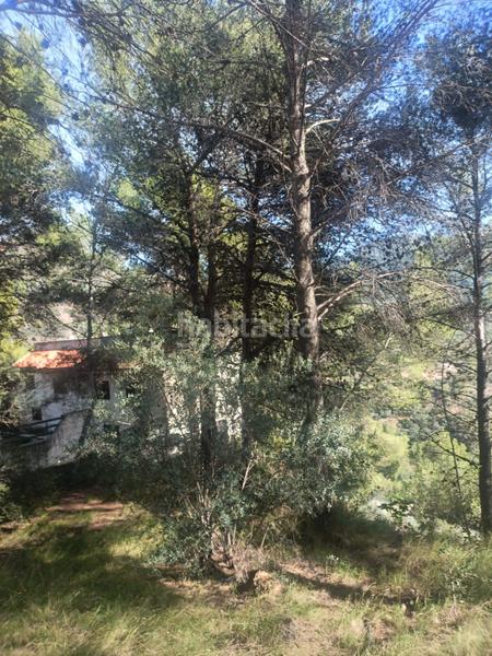 Foto 350a349c-5176-44c4-879f-46366725f724. Residential plot in Serra