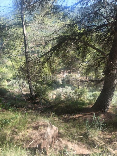 Foto 39b46779-30fd-4a6f-b944-3ace6ed0c999. Residential plot in Serra