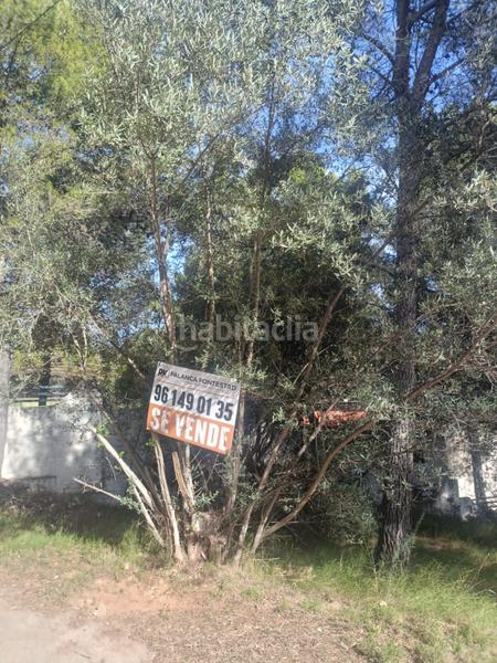 Foto 3f4a2ca0-7e4b-470b-ac9b-cd64d26483aa. Residential plot in Serra