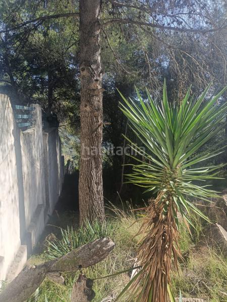 Foto 4962f997-30ae-4ba7-b6b9-dc0fd7e9561f. Residential plot in Serra