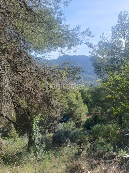 Foto 519ba870-572d-4c48-a413-cdf1c8dd4030. Residential plot in Serra