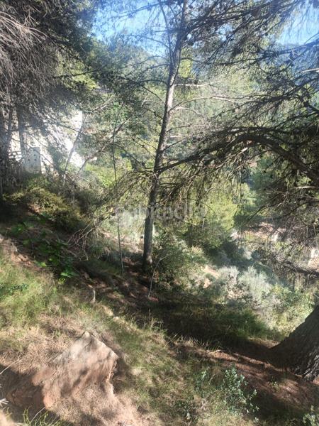 Foto 8667cc84-ad02-4165-8e2f-ba45d8d09876. Residential plot in Serra