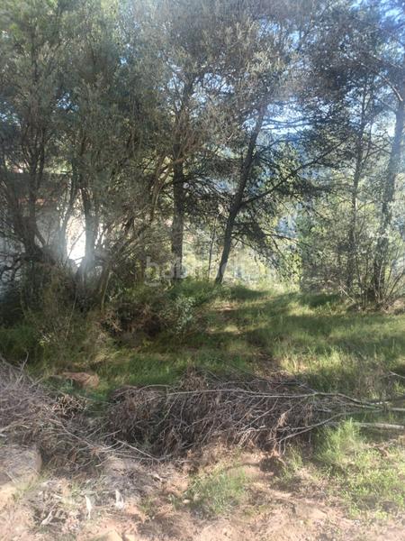 Foto 9f484fb3-8654-4c0e-b94b-f494d0100c92. Residential plot in Serra