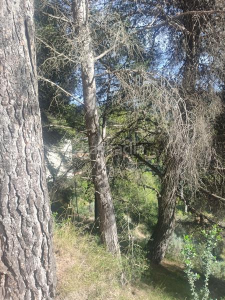 Foto b345db15-807a-4d50-9558-830876038eca. Residential plot in Serra