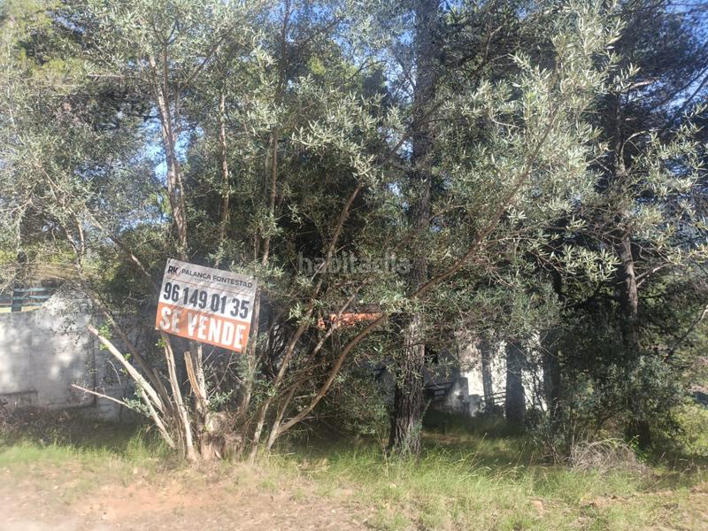 Foto cc07638c-97fb-49fb-a34d-6743c623b01d. Residential plot in Serra