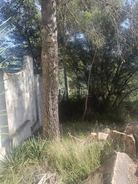 Foto d7706ff3-1047-4d9f-9cd3-f698dc11671b. Residential plot in Serra