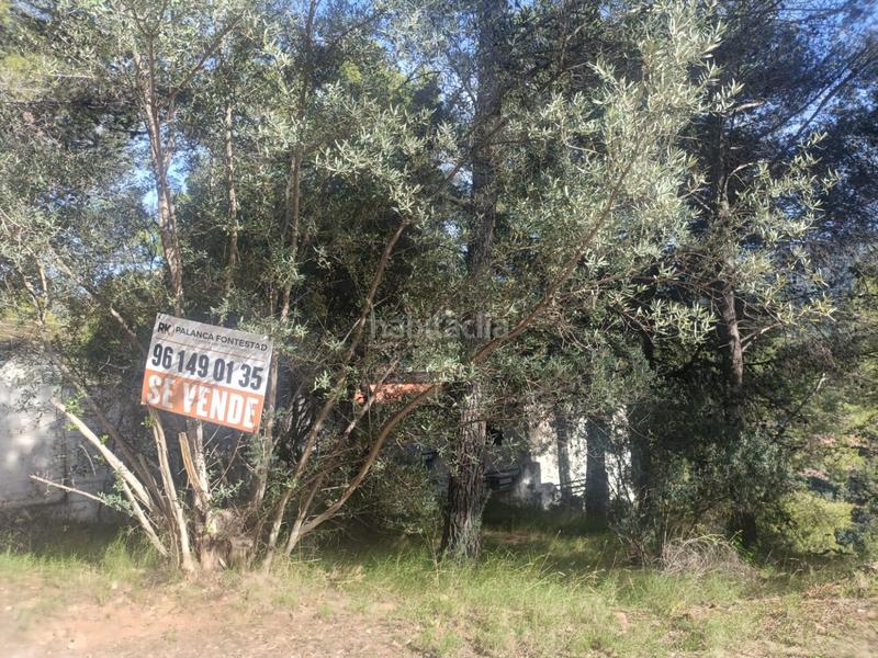 Foto f8bd1431-a635-45cb-96e6-56d45da2357d. Residential plot in Serra