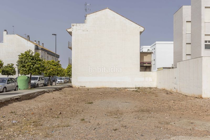 Foto c062ad1a-b8c8-4504-98d0-ffb1be039840. Finca rústica a Massamagrell