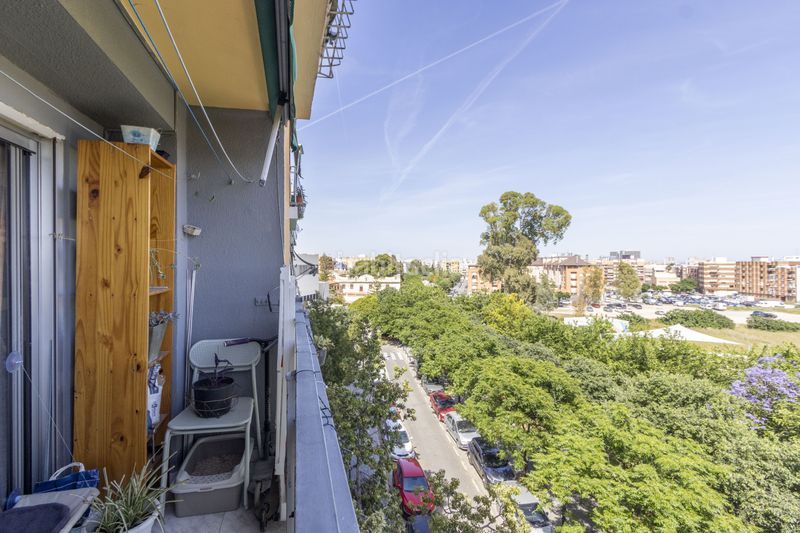 Foto 4c5fa60b-3d9c-4d35-96f4-fb3e37128fe5. Pis a Benimàmet Valencia