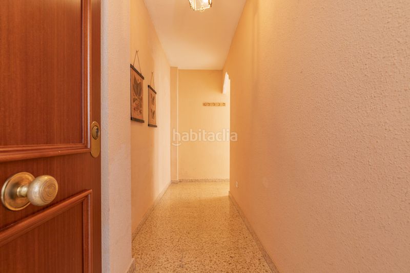 Foto 47523053-155e-437f-b538-e9ddb0af71a2. Pis a Vinalesa