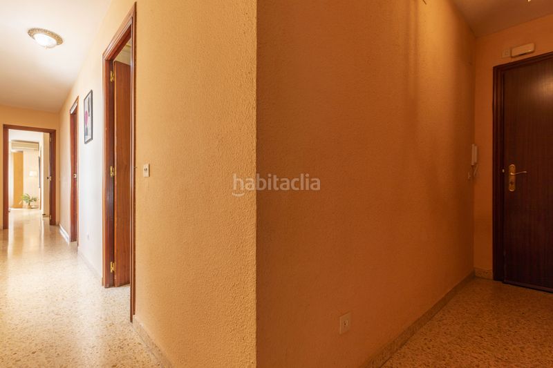 Foto 635a9630-dd9d-42e1-aea8-42017e55e708. Pis a Vinalesa