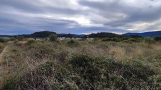 Finca rústica  Camino mercadera. Se vende terreno rustico en ador valencia