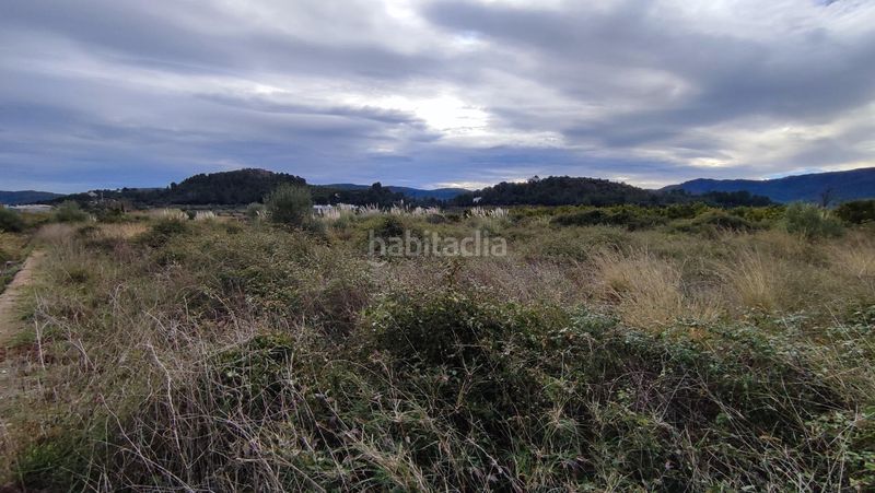 Foto 1130ce4f-5764-405f-8081-4a4e50ef9a61. Finca rústica a Ador
