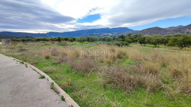 Foto bfa0ab28-eb86-434a-a246-51f65f7c875a. Finca rústica a Ador