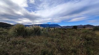 Finca rústica  Camino raconc. Se vende terreno rustico en ador valencia