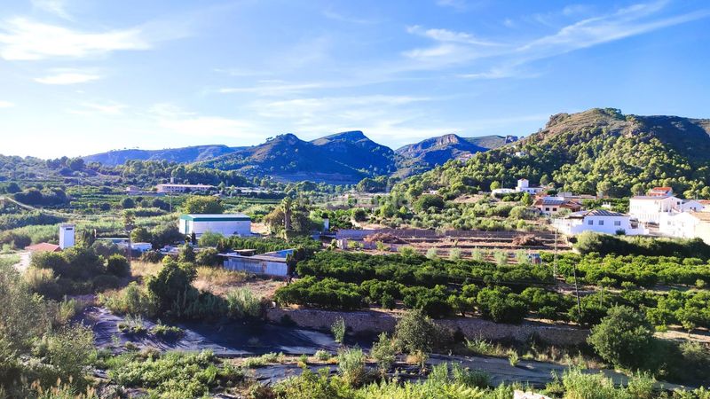 Foto d5c04db1-9621-4777-a5c7-7c8e12e6212a. Pis a Llocnou de Sant Jeroni