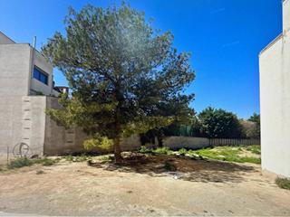 Finca rústica  Doctor farre. Terreno en venta en alguaire