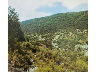 Propriété  Camino diseminat agullo. Finca rustica en agullo