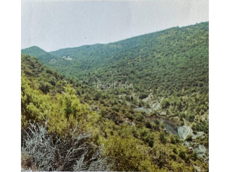 Foto 43e7fc5d-fea8-4bca-839c-501d59bac73c. Finca rústica a Àger