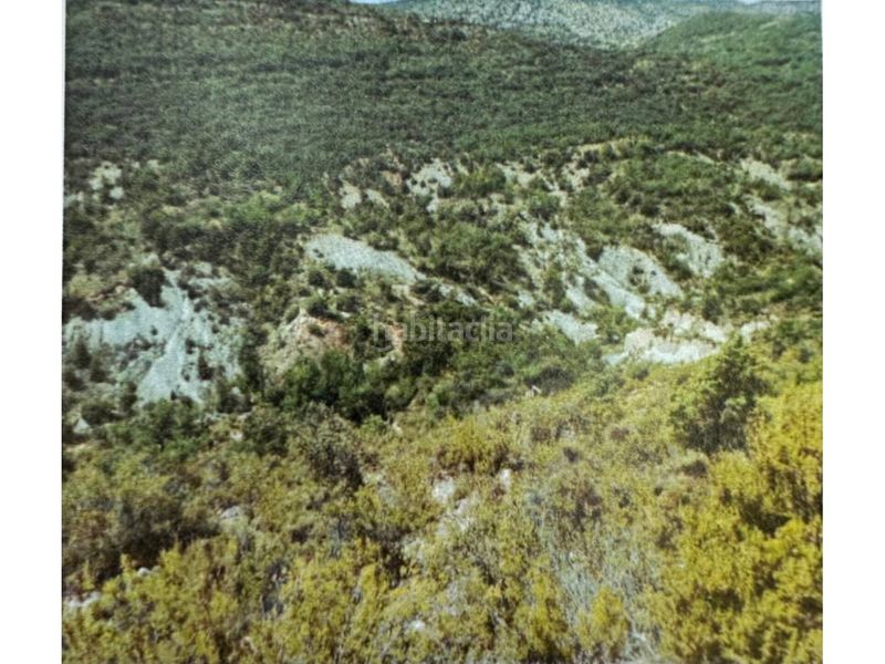 Foto 6b62e7fe-5d17-4763-8da7-9e239f5bcb72. Finca rústica a Àger