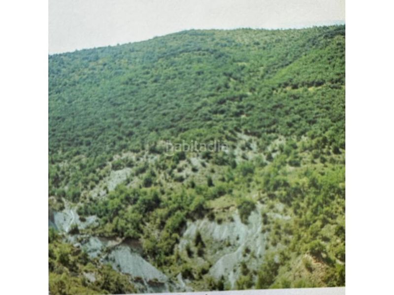 Foto ec84d74b-896c-408c-9310-baba43ba5270. Finca rústica a Àger