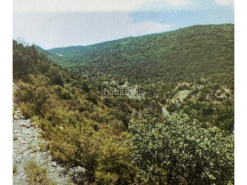 Foto feb95eda-c15a-4f39-abb6-0f8e46a82ac0. Finca rústica a Àger