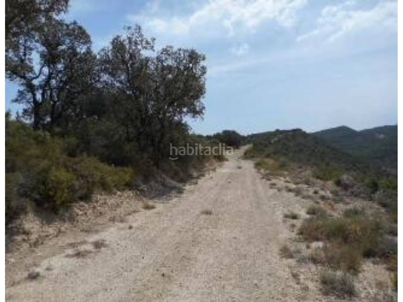 Foto 0e5f3e78-aee9-4e9c-a5e3-0a905a401a53. Finca rústica a Àger