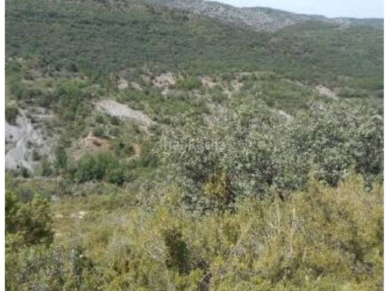 Foto 5f76f468-f3ed-4f99-88d7-b8f89da5bad5. Finca rústica a Àger