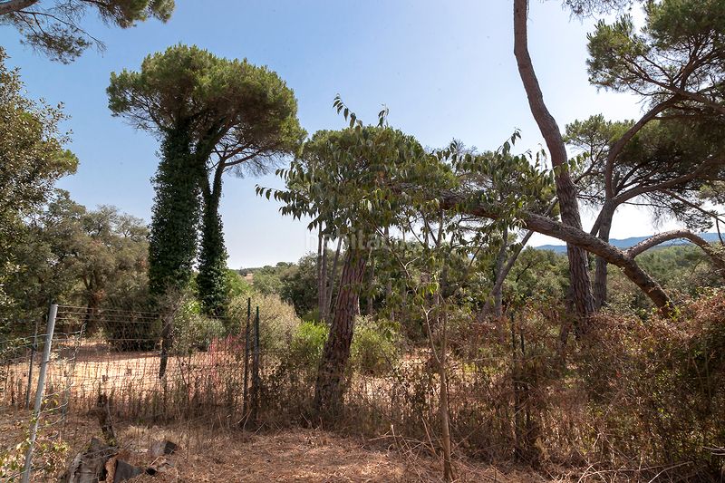 Foto 57e4fec3-7469-4863-9137-821fb221a9be. Casa a Condado del Jaruco - Puigventós Lloret de Mar