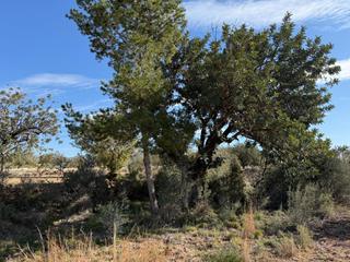 Finca rústica a Urbanizaciones. Terreno rustico a poca distancia de lliria