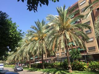 Lloguer Pis a Ciutat Jardí. Piso amueblado de 5 habitaciones  con amplia terraza