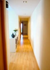 Lloguer Pis a Carrer de valència 23. Alquiler vivienda en albalat dels s.
