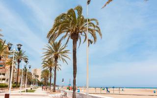 Rent Apartment in Platja de la Pobla de Farnals. Alquiler vivienda en pobla de farnals