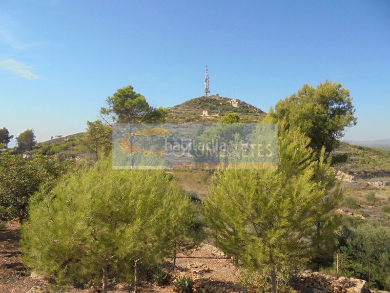 Foto be341b70-b865-4a2b-bf5e-e094bdb3990c. Chalet mit parking in Ciutat del Transport - La Salera Castellón de la Plana