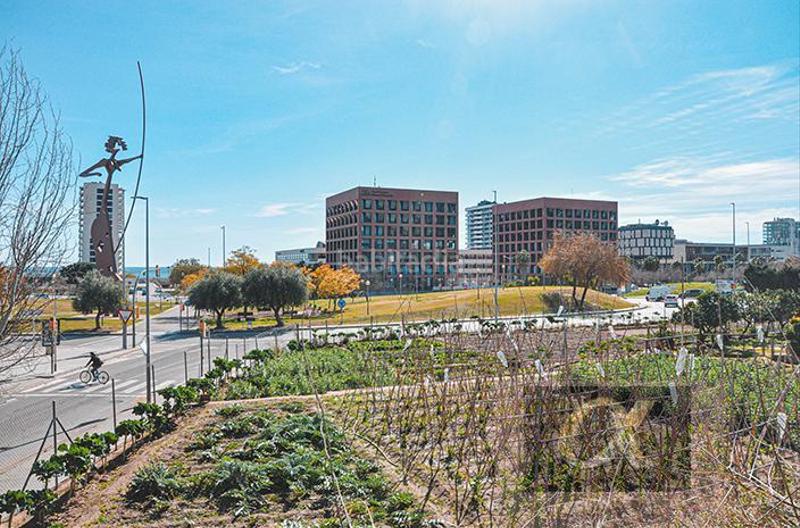 Foto 07334b24-d623-4850-a538-81766b7b3236. Solar industrial terreno en Pla d'en Boet Mataró